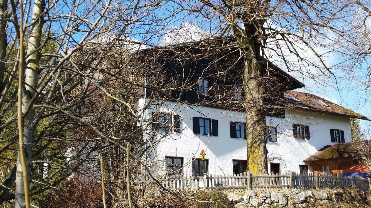 Landhaus Weisser Hirsch Fussen Exterior photo